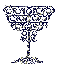 Nova Development Art Explosion